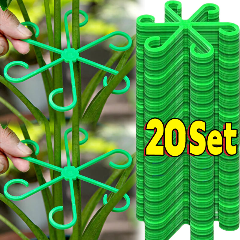 Picchetti di supporto per stel - Florist Supp recensione e prezzo