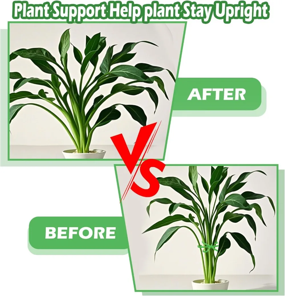 Picchetti di supporto per stel - Florist Supp recensione e prezzo
