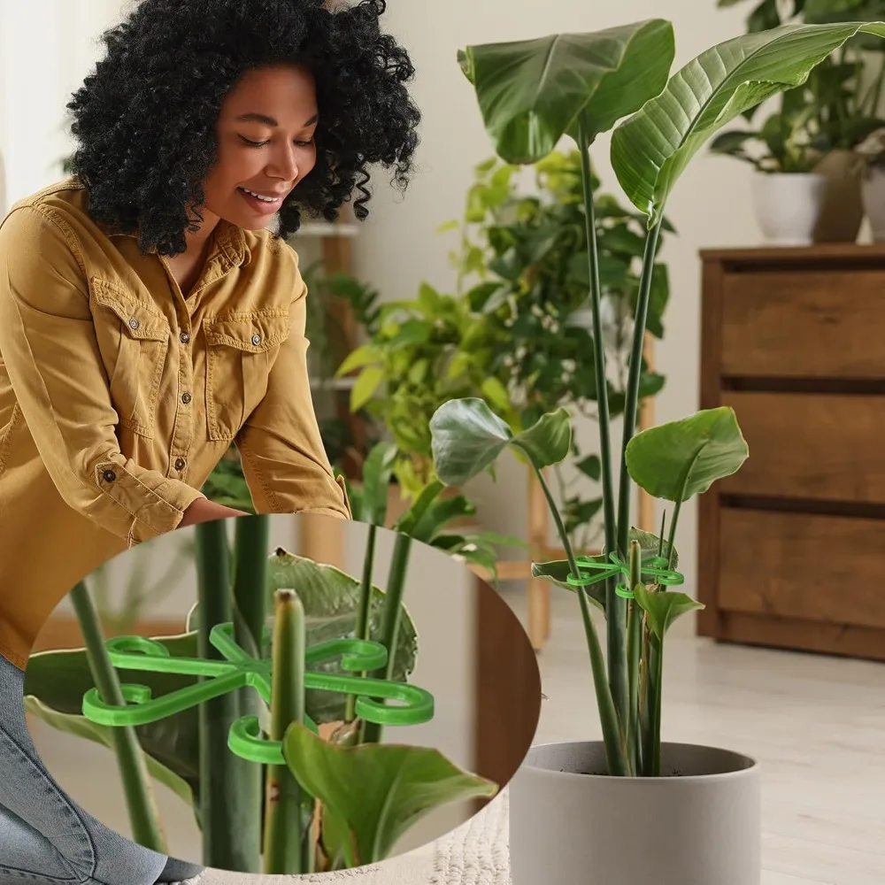 Picchetti di supporto per stel - Florist Supp recensione e prezzo