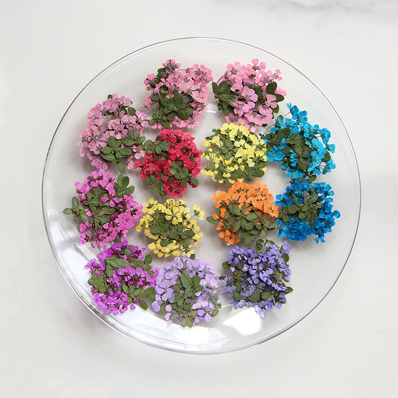2-3cm/12pz, Piccoli Fiori Pres - Supply For Florist recensione e prezzo