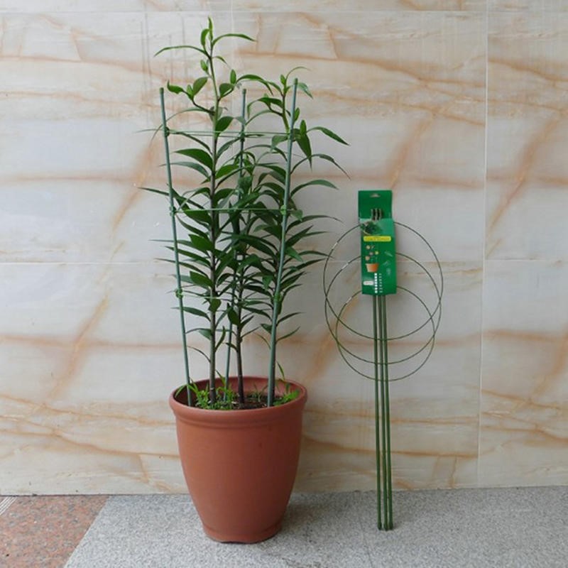 Set da 1/3/9 Pezzi, Supporto p - Florist Supp recensione e prezzo