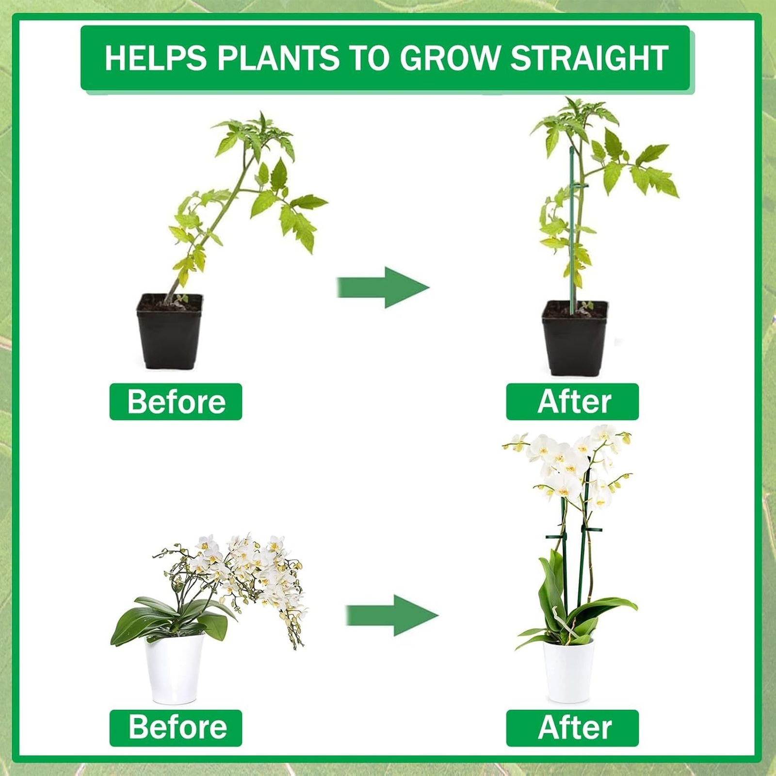 Supporti per Piante, Pali da G - Florist Supp recensione e prezzo