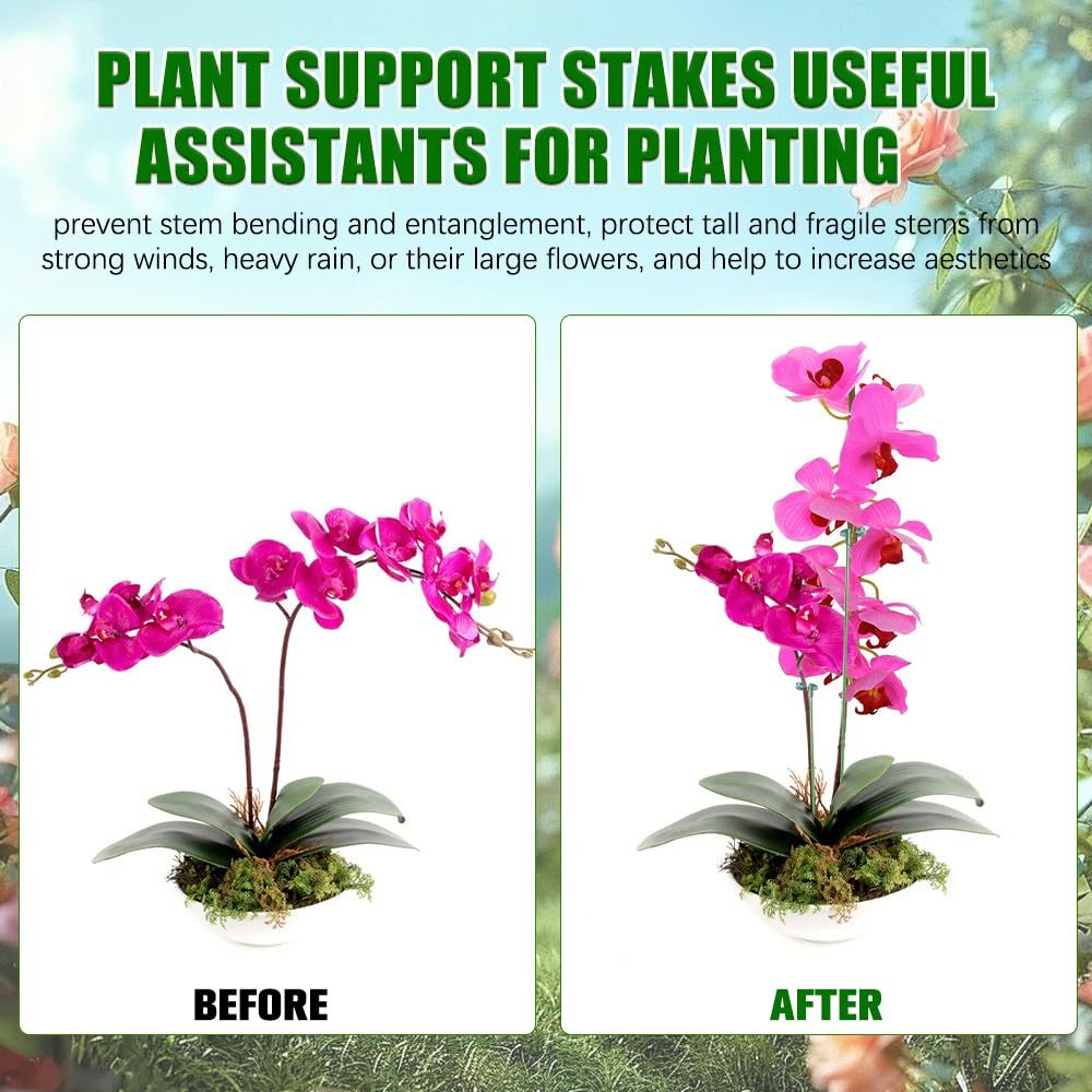 5/10PCS Pianta Supporti Stand  - Florist Supp recensione e prezzo