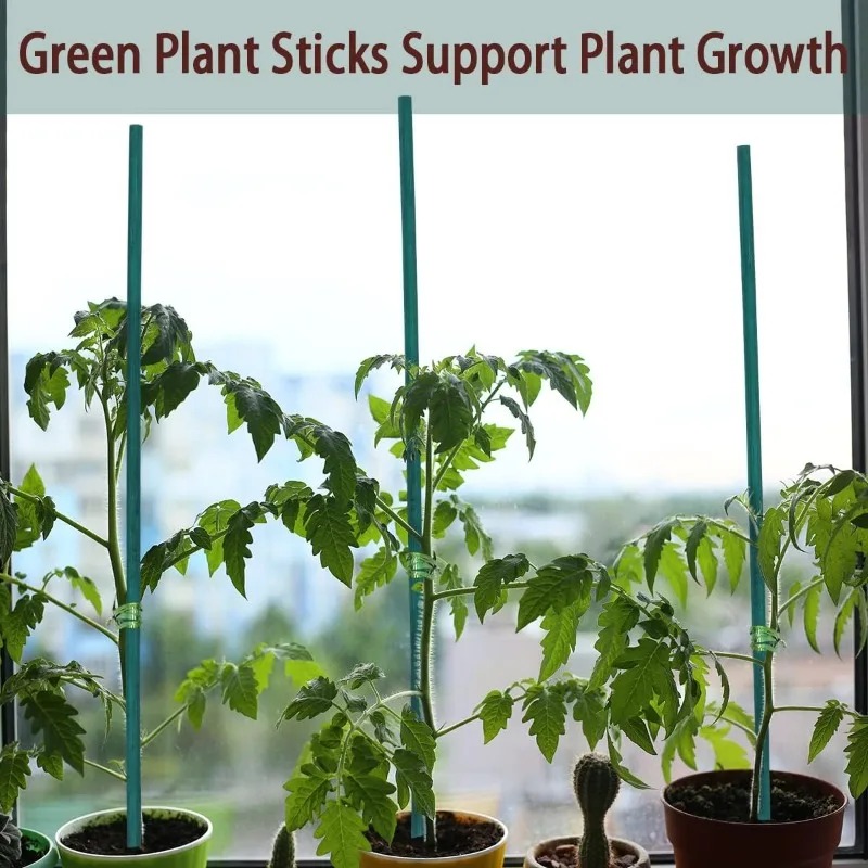 Supporti per Piante, Canne in  - Florist Supp recensione e prezzo