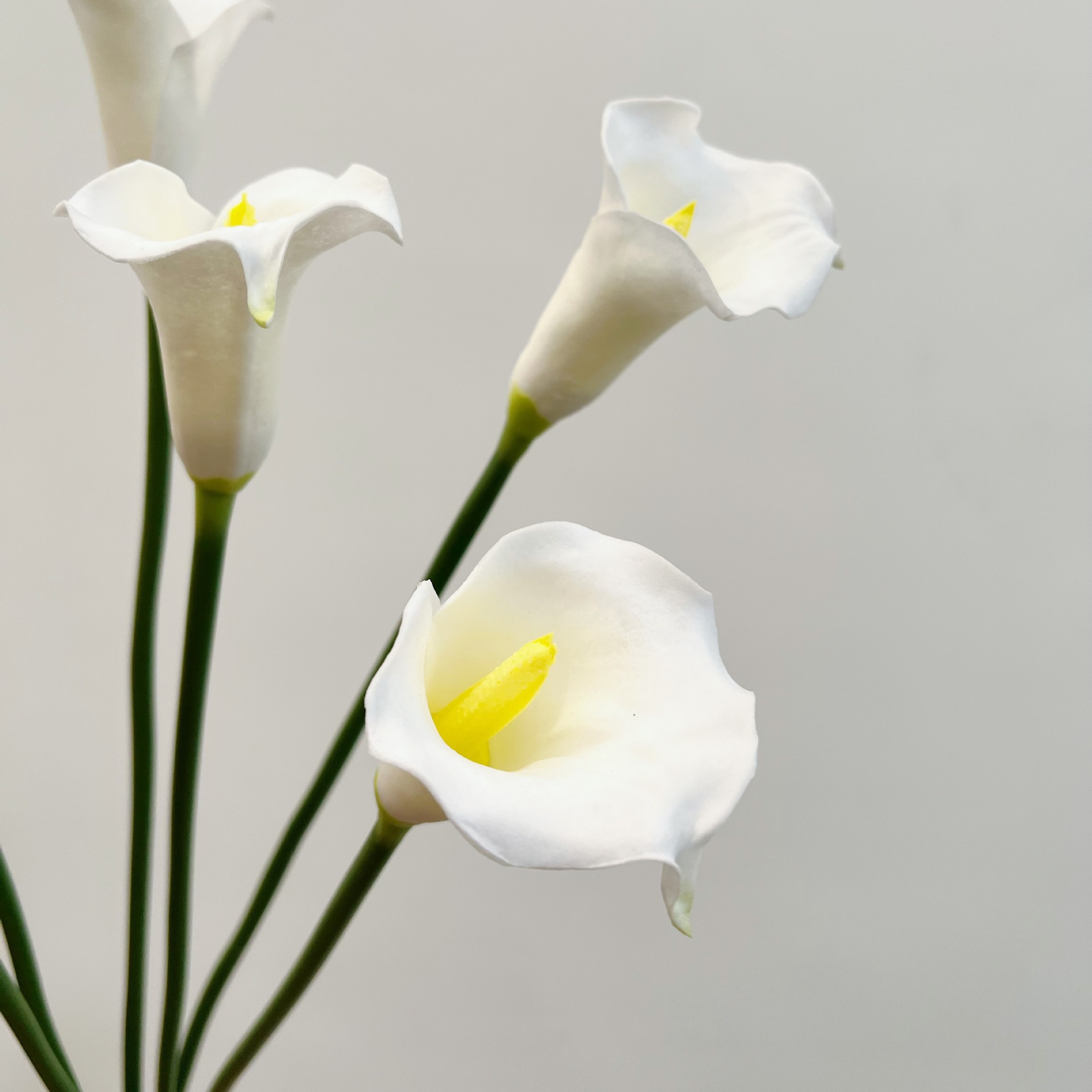 Fiore Artificiale di Calla a S - Supply For Florist recensione e prezzo