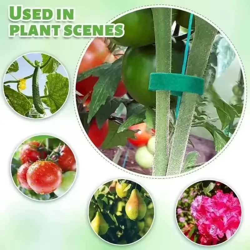 Nastro da giardino Fascetta pe - Florist Supp recensione e prezzo