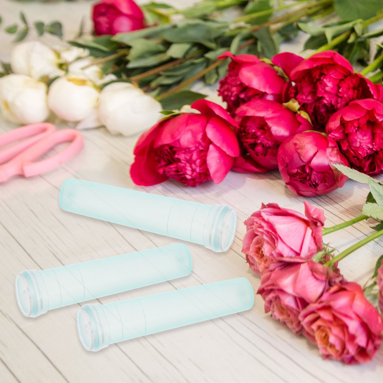100 Pezzi Tubi per Conservazio - Supply For Florist recensione e prezzo