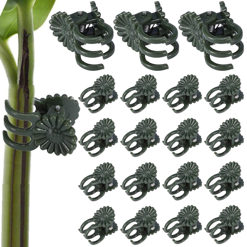 20/50/100 pz Clip per piante m - Florist Supp recensione e prezzo
