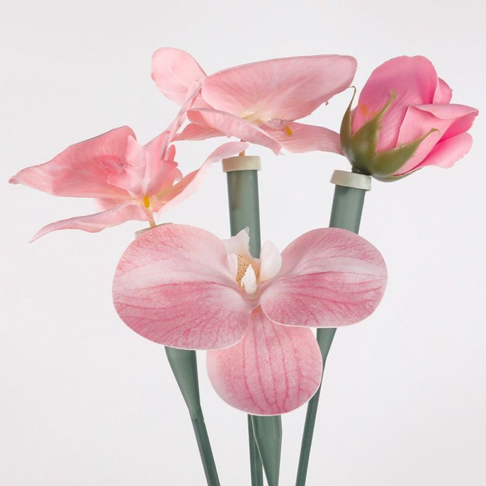Tubi Conservanti per Fiori, Fi - Florist Supply Shop recensione e prezzo